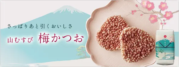 山むすび 梅かつお10枚入