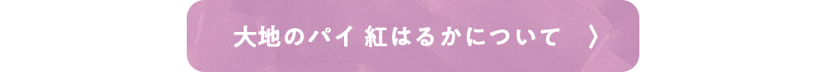 大地のパイ　紅はるか 詳しくはこちら