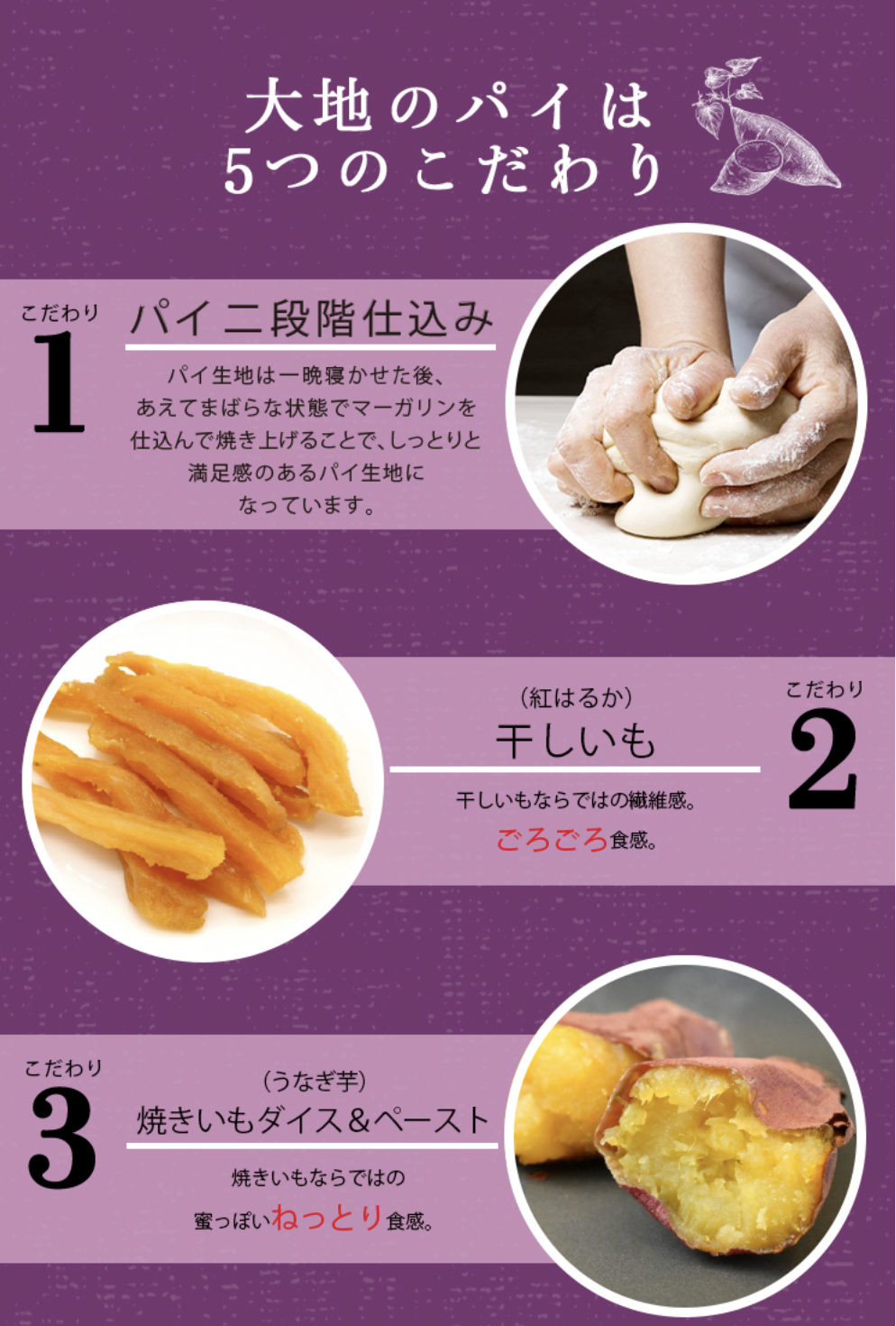 大地のパイは5つのこだわり1.パイ二段階仕込み 2.紅はるか干しいも 干しいもならではの繊維感。食感。3.うなぎいも 焼きいもダイス&ペースト 焼きいもならではの蜜のねっとり食感