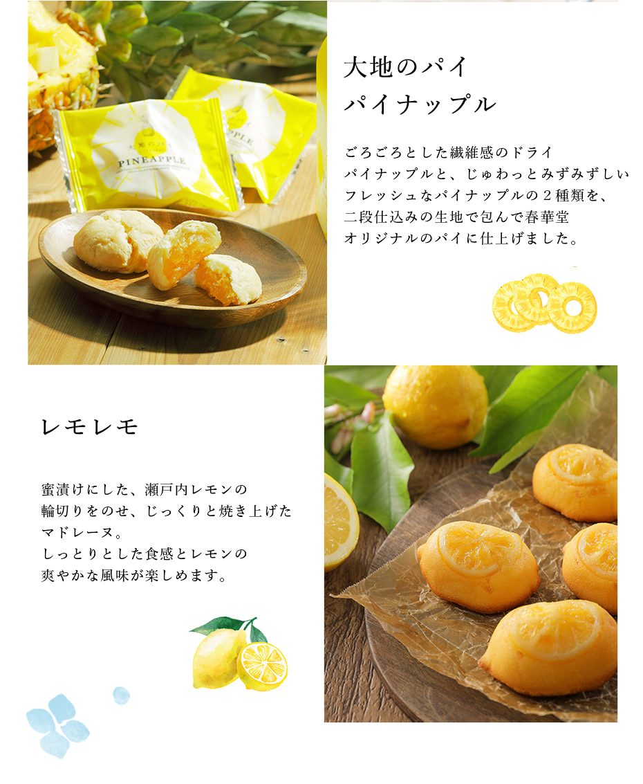 華をかし夏4-1中身