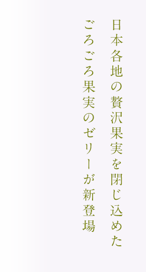 NIPPONの果実果実 春華堂ゼリー