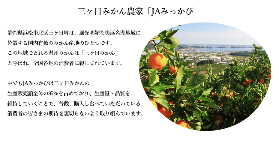 三ヶ日みかんゼリー
