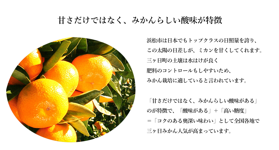 三ヶ日みかんゼリー