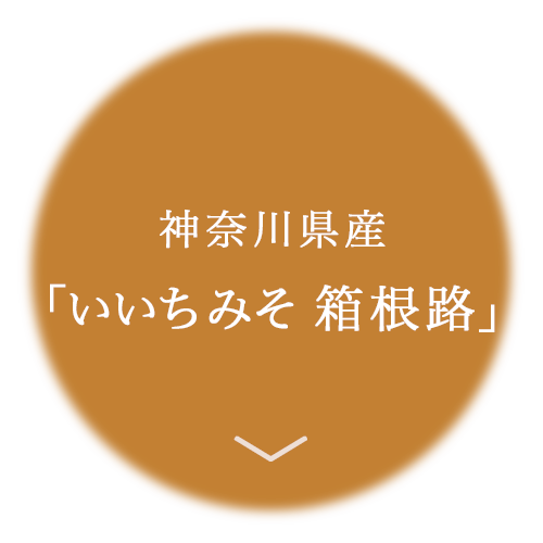 箱根路味噌