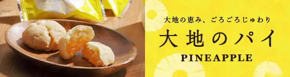 大地のパイ