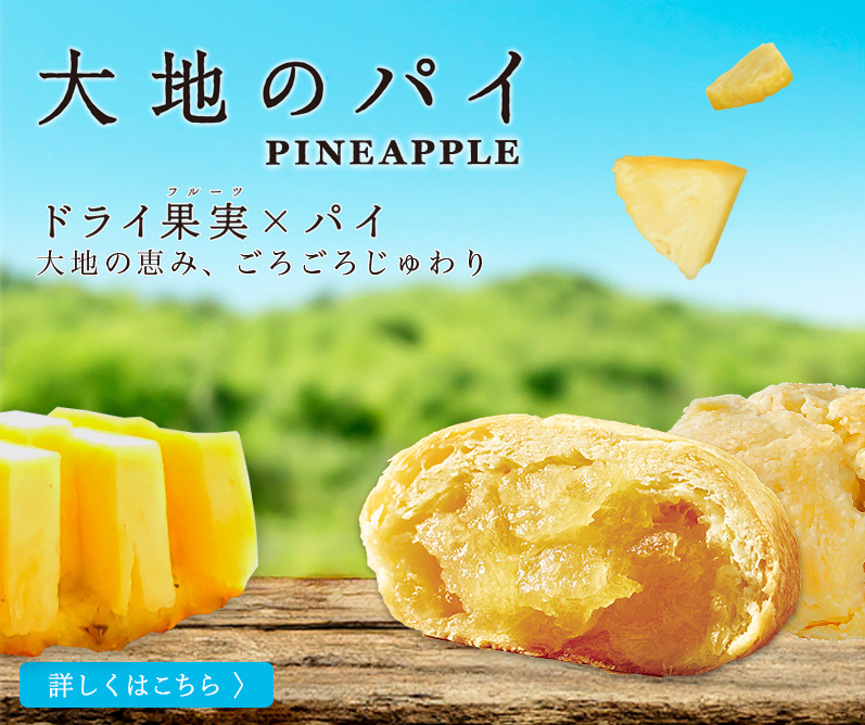 大地のパイ
