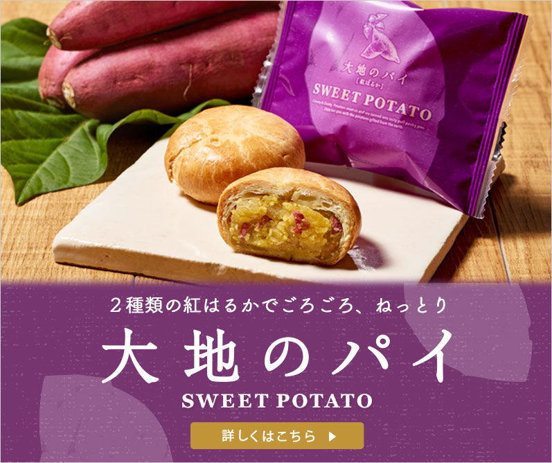 大地のパイ