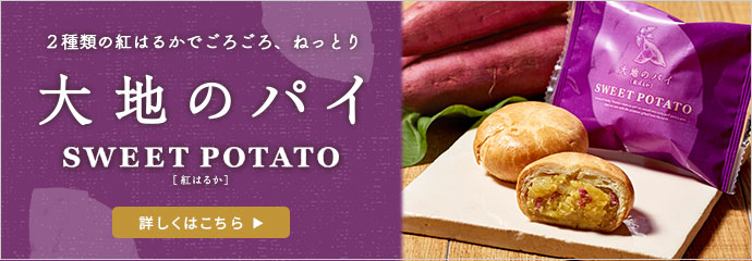 大地のパイ