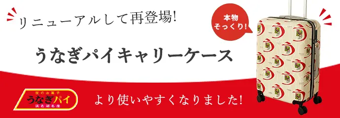 キャリーケース　