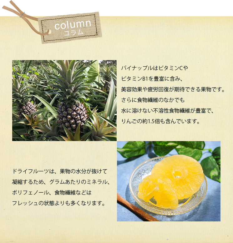 コラム