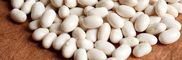 北海道産白手亡豆を使用