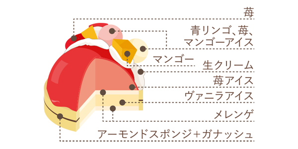 パレット断面