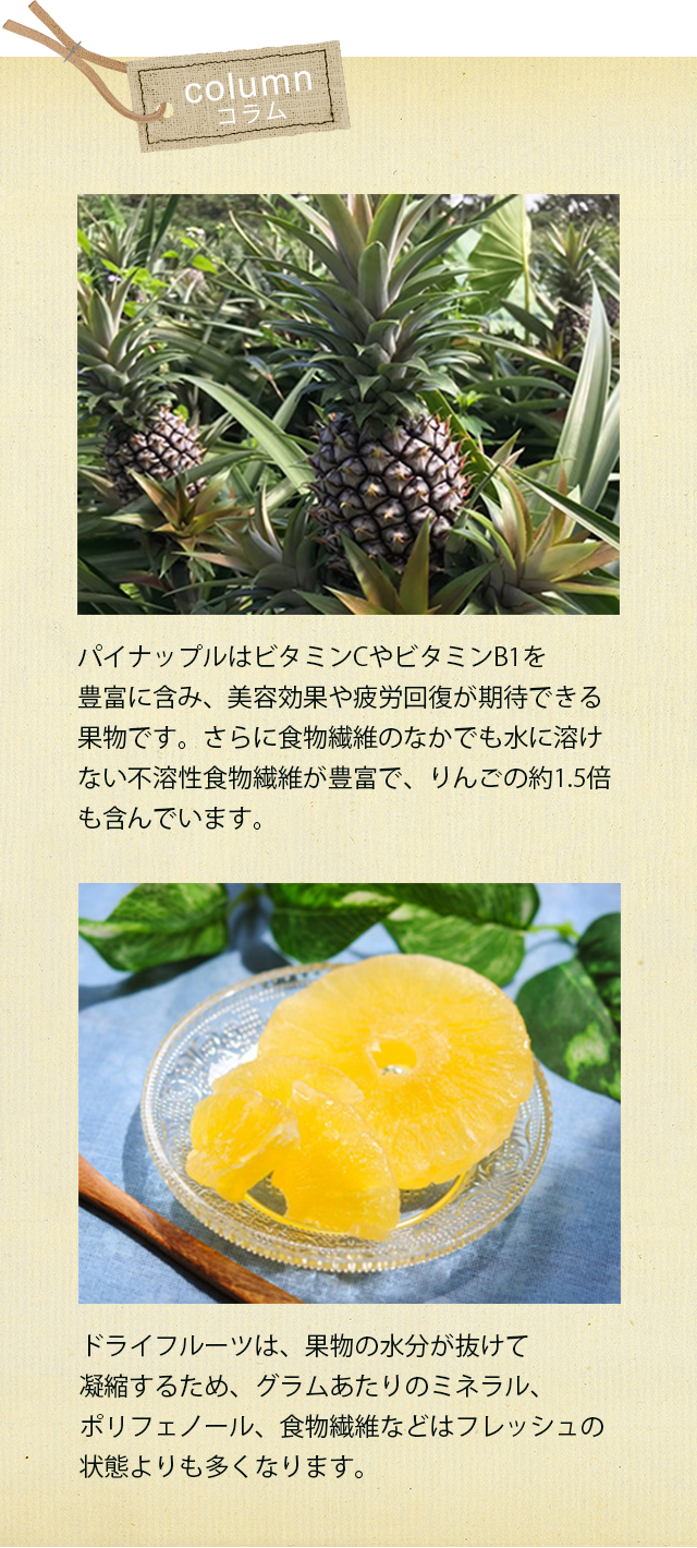 コラム